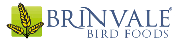 Brinvale Logo