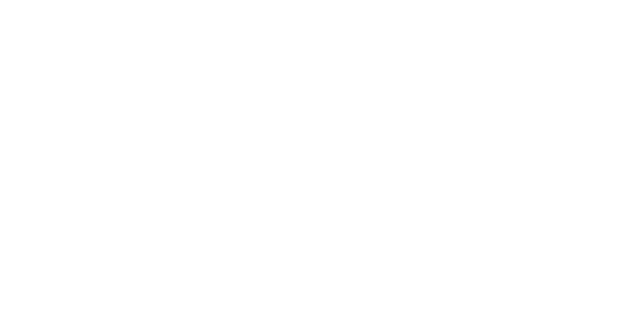 The Brinvale Price Promise
